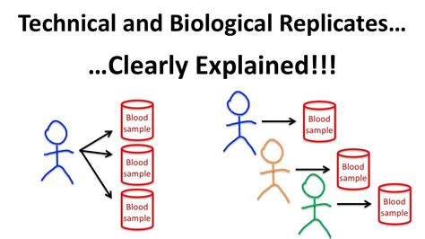 technical replicate vs experimental.